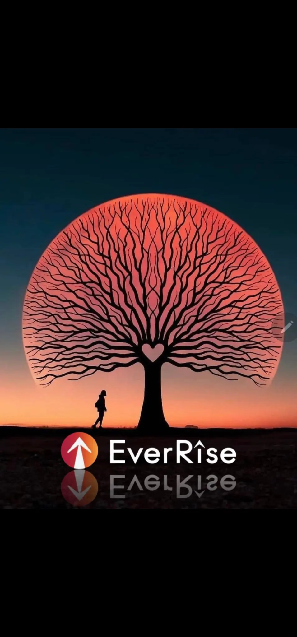 EverRise Eye
